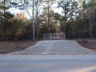 31317 Joseph Rd, Hockley, TX 77447 - photo 2
