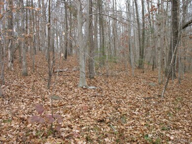 346 Fox Branch Run, Louisa, VA 23093 - photo 6