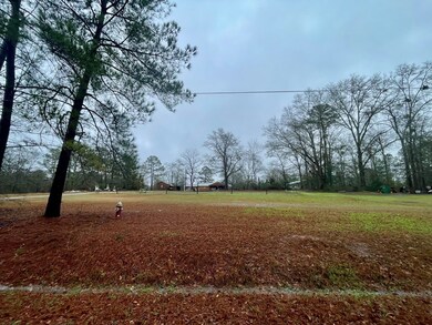 0 S Monroe St, Sylvester, GA 31791 - photo 2