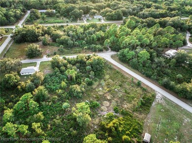 1307 Taft Ave, Lake Placid, FL 33852 - photo 5