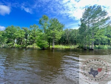 000 S Eagle's Way Llc, Bradley, AR 71845 - photo 3