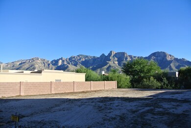 Lot w/ Mnt Vie