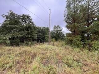 31 Amber Ridge, Shawnee, OK 74801 - photo 5