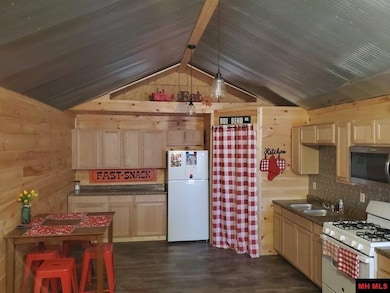 48 Cr 105 unit Doe Bend Rd., Reyno, AR 72462 - photo 7