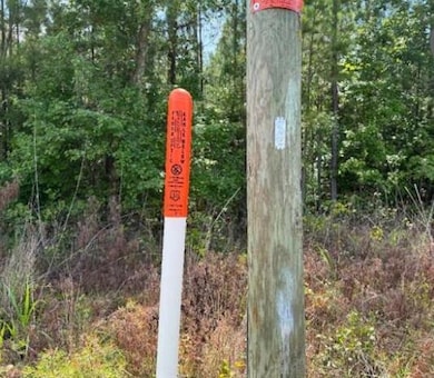 Lot N1 Old Edgefield Rd, Ninety Six, SC 29666 - photo 3