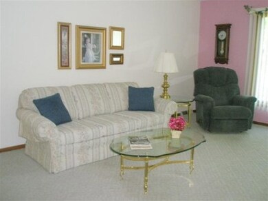 13157 W 117th Ave, Cedar Lake, IN 46303 - photo 7