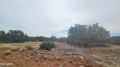 20250529_150506