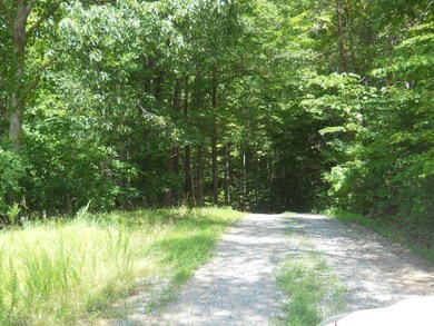 Over a mile long driveway