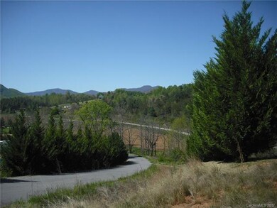 2 Timber Hill Dr unit LOT 1, Leicester, NC 28748 - photo 4