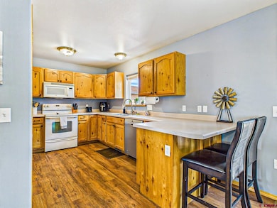 235 NW 12th St, Cedaredge, CO 81413 - photo 7