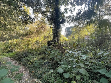 7690 Toogoodoo Rd, Hollywood, SC 29449 - photo 3