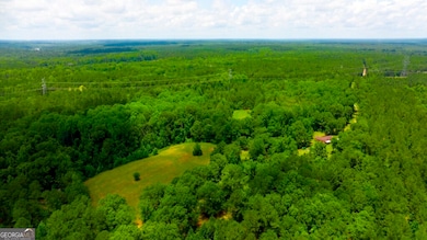 1230 Agricola Rd, Mitchell, GA 30820 - photo 4