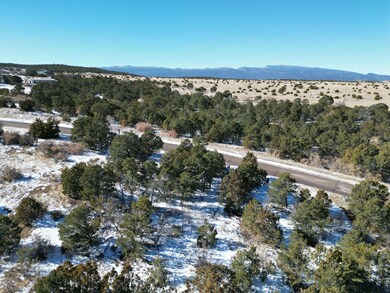 Lot 2 Bolivar Loop, Tijeras, NM 87059 - photo 6