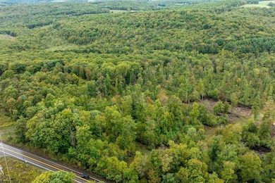 0 N Preston Hwy unit 10156603, Bruceton Mills, WV 26525 - photo 4