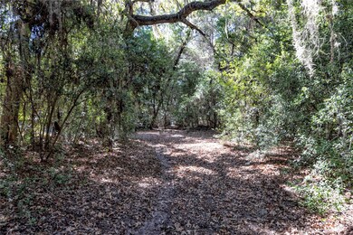 3550 County Road 387, Hallettsville, TX 77964 - photo 4