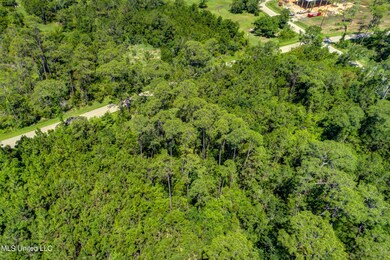 506 Ponce De Leon Blvd Lot 2 (6)