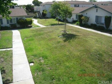 larger view of green belt area from patio.