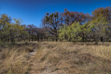 Lot 194 Grand Harbor Blvd, Chico, TX 76431 - photo 4