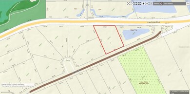 12213 Park Ave, Windermere, FL 34786 - photo 4