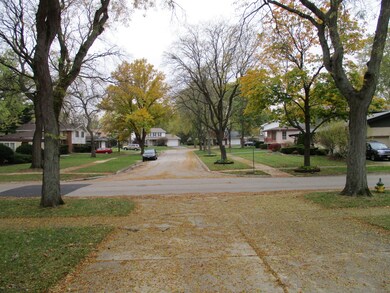 1001 Elm St, Flossmoor, IL 60422 - photo 2