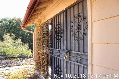 20181110121708_IMG_6854-01