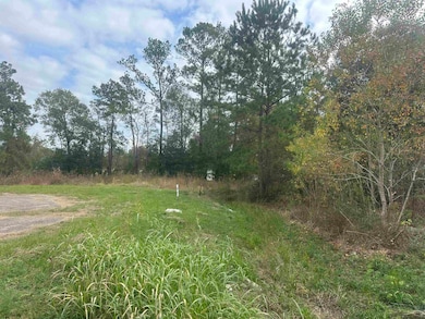 0 Landon Rd, Orange, TX 77632 - photo 3