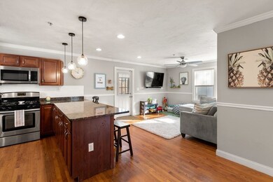 16 Westminster Ave unit B2, Roxbury, MA 02119 - photo 4