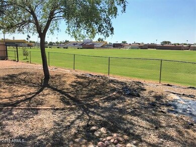 Back yard Mesa HS1