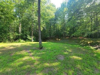 4233 Gilding Rd, Beaverton, MI 48612 - photo 6