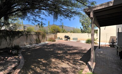 the Catalinas