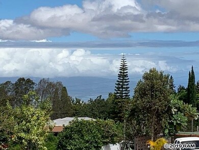 23 Upu Place, Kula, HI 96790 - photo 3