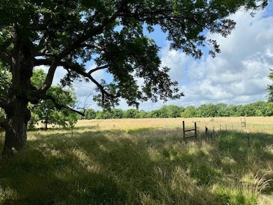 0 Interstate 49, Alexandria, LA 71302 - photo 3
