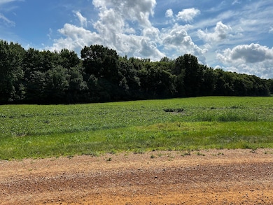 XX TBD Mellgren Ln, Chaska, MN 55318 - photo 3