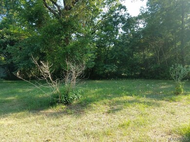 198 Cameron St, Ozark, AL 36360 - photo 2