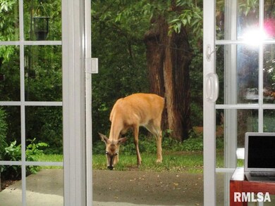 2997 3rd St unit 104, Moline, IL 61265 - photo 4