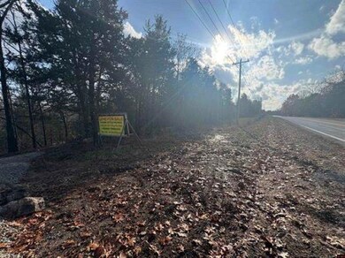 Tract B Arkansas 101, Gamaliel, AR 72537 - photo 3