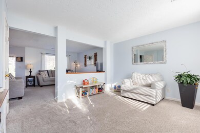 3257SummitrunDr_MLS-6