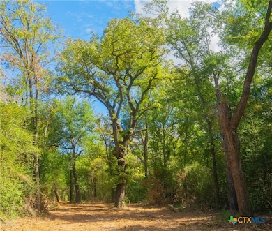 12338 Red Hill Rd, Hearne, TX 77859 - photo 5