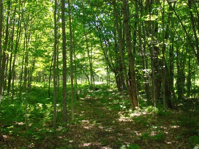 15 Taylor Ln, Whitingham, VT 05361 - photo 6