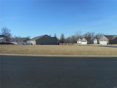 296298 Cherry Creek Ln, Farmington, MO 63640 - photo 5