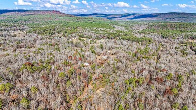 2805 Larue Ridge Rd, Dover, AR 72837 - photo 5