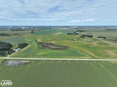 0 SW Corner 330th St 830th Ave, Ellendale, MN 56026 - photo 6