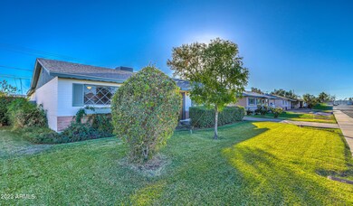 Mature Landscaping