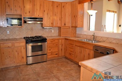 4528 N Shadow Mountain Rd, Silver City, NM 88061 - photo 7