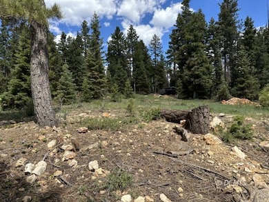 1065 E Redwood Rd, Duck Creek Village, UT 84762 - photo 6