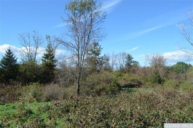 0 Vosburgh Rd, Red Hook, NY 12571 - photo 4