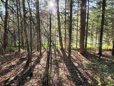 0000 Under the Mountain Rd, Lyman, NH 03585 - photo 6