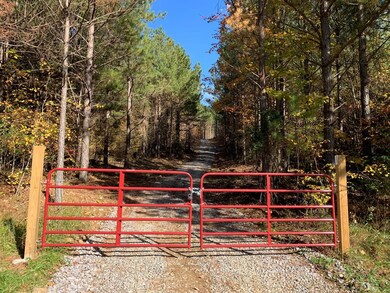 26 Ac Thomas Springs Rd, Crossville, TN 38572 - photo 5