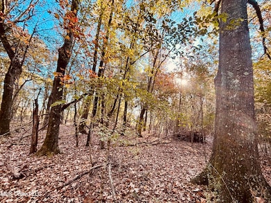 0 Mayer Rd, Bentonia, MS 39040 - photo 3