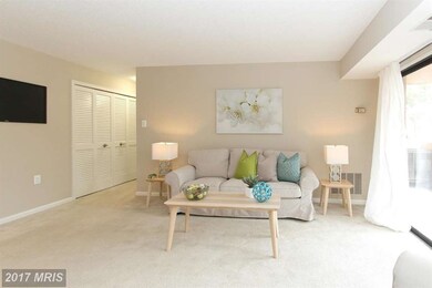 Woodbury Heights Condominium unit 1011, Arlington, VA 22201 - photo 5